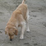 Voor het eerst op het strand...wat een feest!