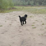 Foto van Mirjam en Curly Koda