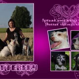 Foto van Adinda, Runeke, Paloma, Wolf, Pixie en poes Uncas
