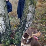 Foto van Juut & Brownie