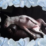 wat is het heet he