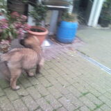 Op verkenning