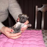 de kleine eray, 1maand oud