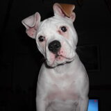 Onze kleine Angel