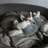 Foto van Vicky