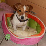 Dit is onze Tess