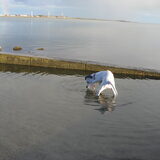hey dat water is koud