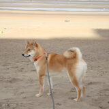 Aan zee