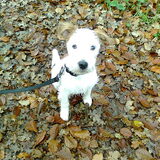 Foto van Jack en Dais