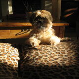 wat een lief mannetje he van fam. hermans