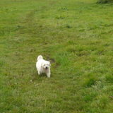 Foto van Floor en Peddy