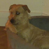 onze stoere REMBO