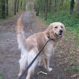 Foto van Mariska en Jip