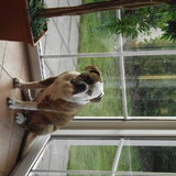 Is ikke weer