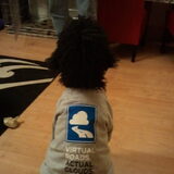 My owner went to a WMware conference in Copenhagen and I got was this…