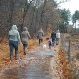 Foto van liesbeth,Turbo,Luna, Levi en Faith