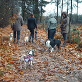 Foto van liesbeth,Turbo,Luna, Levi en Faith