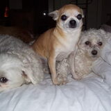 Cindy ,Maaiky , Loena