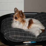 Foto van Veerle & Chipke