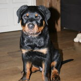 ga graag op de foto