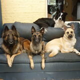 samen op de zetel