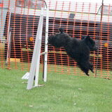 hupla!!