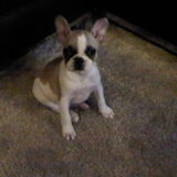Murphy