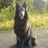 poseren in de zon