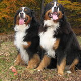 Cay en Cooper
