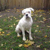 Lexi 6 maand