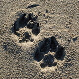 pootjes in het zand