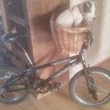 ons vervoer