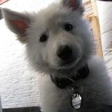 kiekeboe! (8wkn)