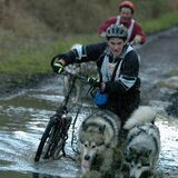 De alaskan malamute en zijn baas in actie! Een plezier