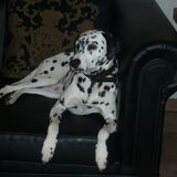 Foto van Julie x Evando x Brownie