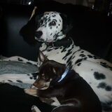 Foto van Julie x Evando x Brownie