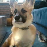midas 6 maanden