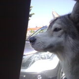 Myn Broer Zyn Lieve Luca ;D