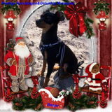 kerst vier