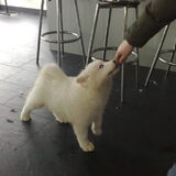onze eerste kennismaking