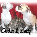 Foto van samira-chika-lady