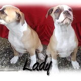 Foto van samira-chika-lady