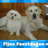 Foto van marion