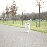 Foto van Hetty & Skipper