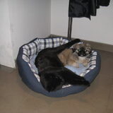 louise en breezer,lekker knus,toch ?