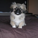louise op ons bed....is het geen fotomodel :-)