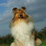 Foto van Dineke