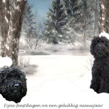 dit is NIET de kerstkaart voor dit jaar geworden ;-)