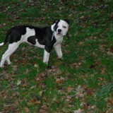 maggie op deze foto 4 maanden