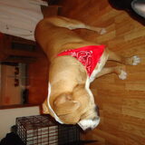 Ik draai me weg hoor, want vind die flits helemaal niks!!!